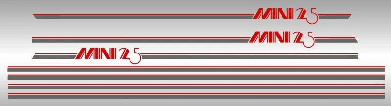 25 Side and Boot Lid Decals, and Stripes