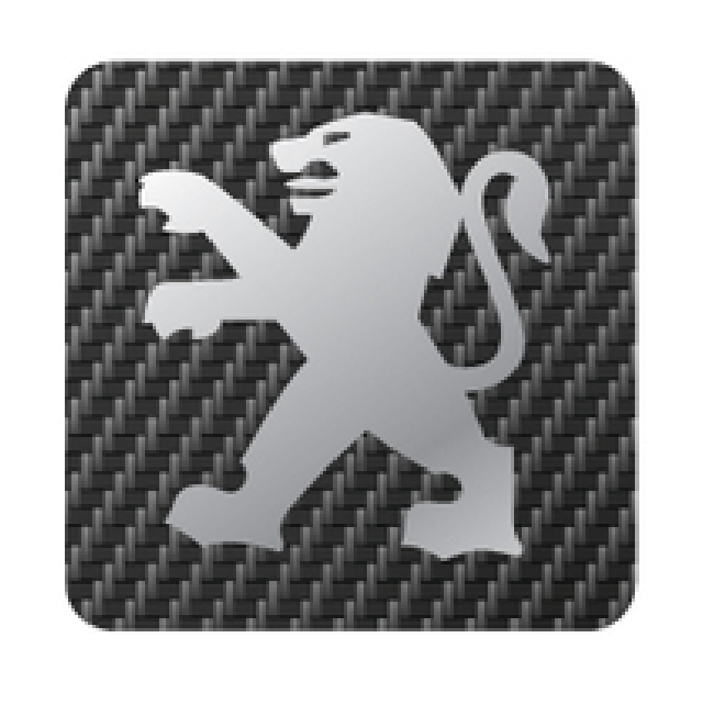 Peugeot 106 Rocker Cover Badge - Carbon