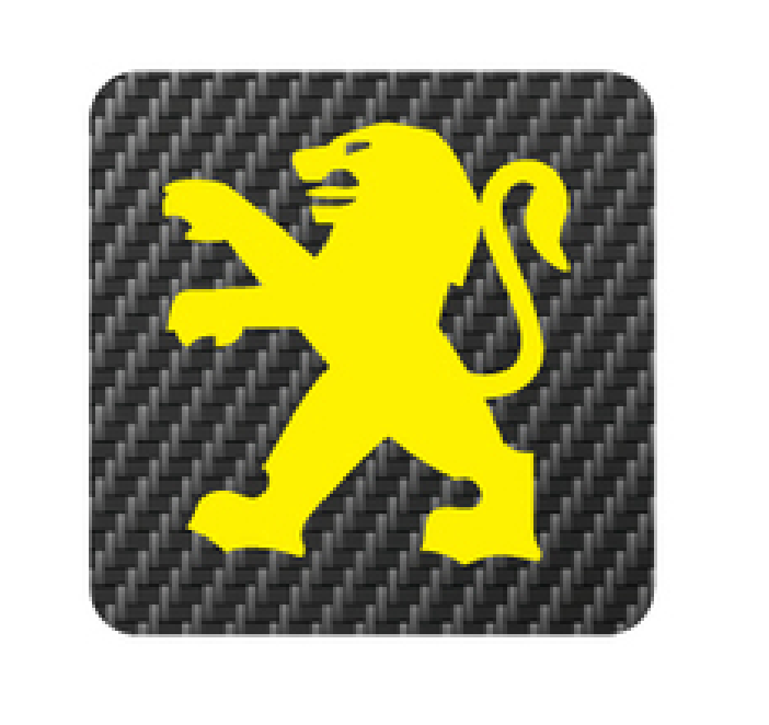 Peugeot 106 Rocker Cover Badge - Carbon